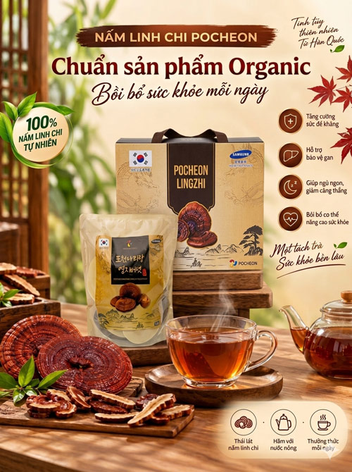 Nấm linh chi Organic Pocheon Hàn Quốc túi 1 kg Nấm linh chi Organic Pocheon Hàn Quốc túi 1 kg