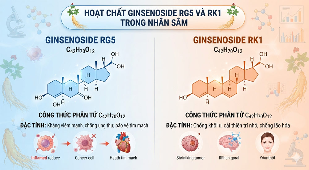 Ginsenoside Rg5 và Rk1 có chứa trong hắc sâm Ginsenoside Rg5 và Rk1 có chứa trong hắc sâm